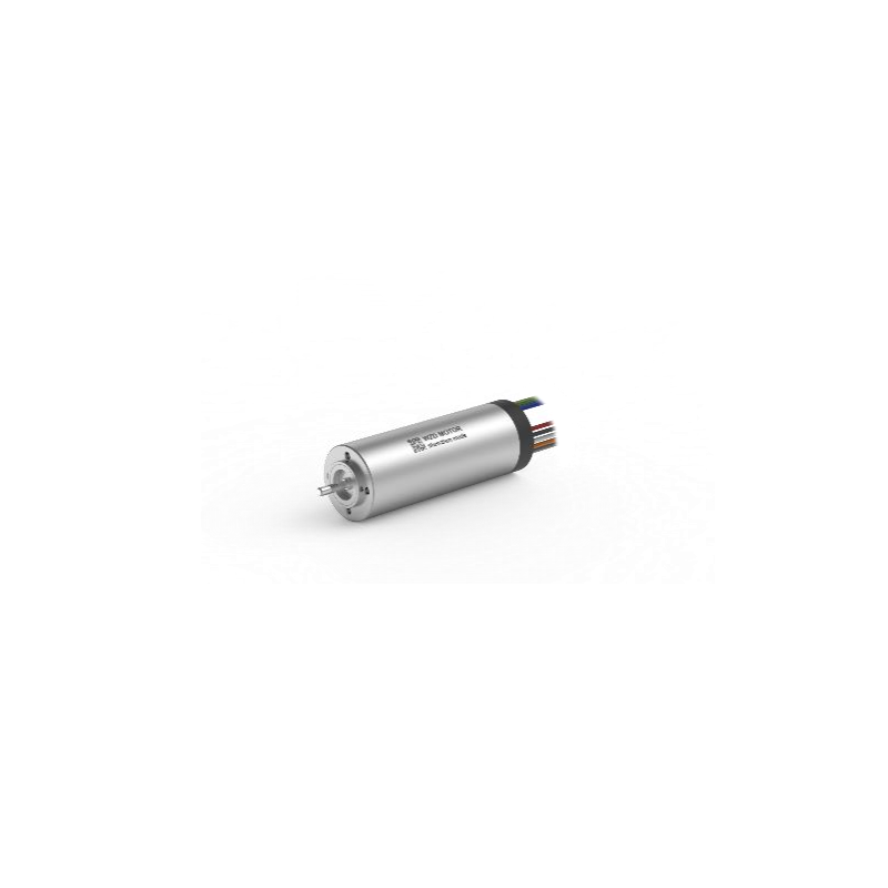 ECS 1337 ñı